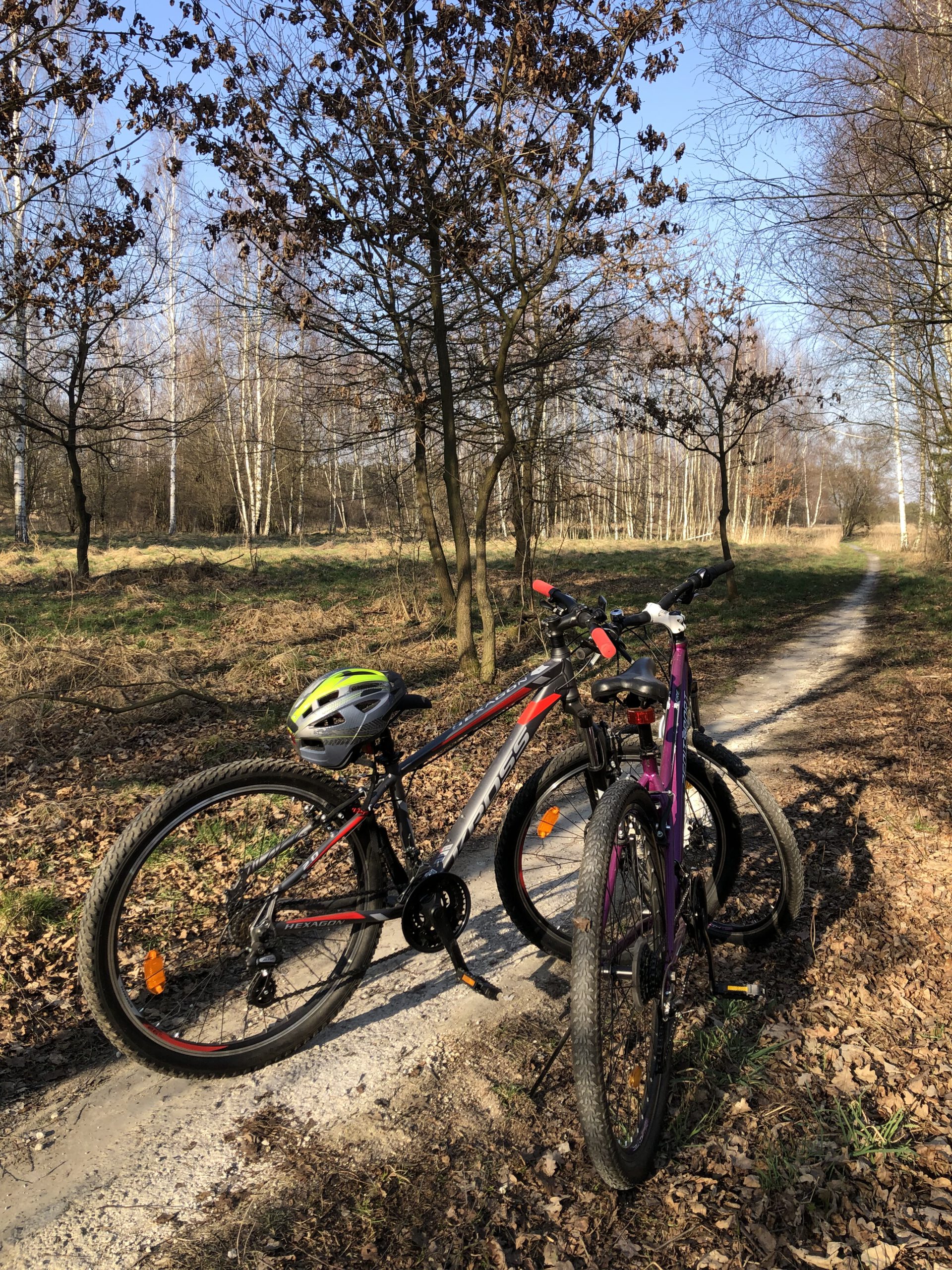 Dwa rowery oparte o siebie na środku leśnej drogi