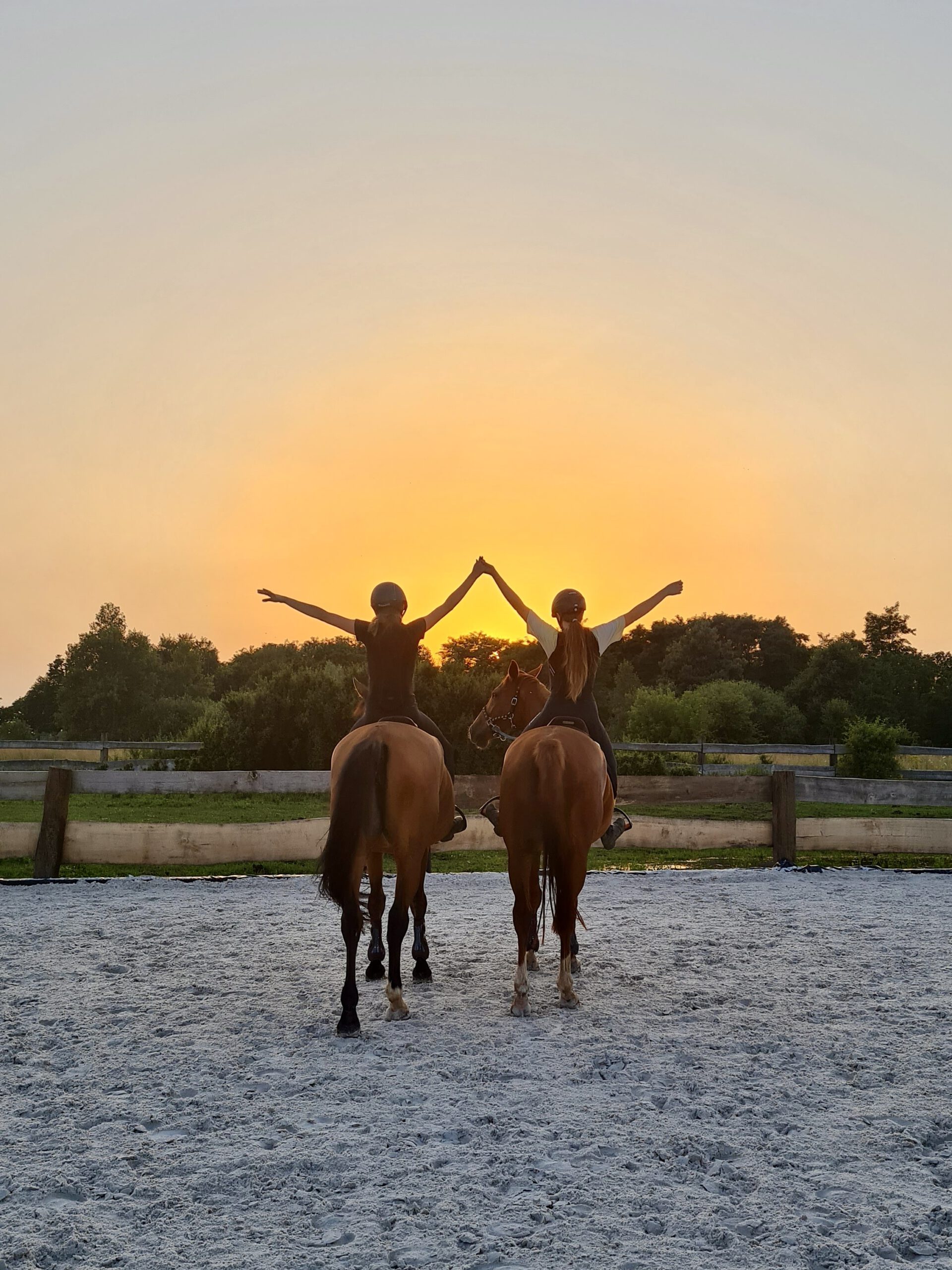 Dwa konie z jeźdźcami na tle zachodu słońca