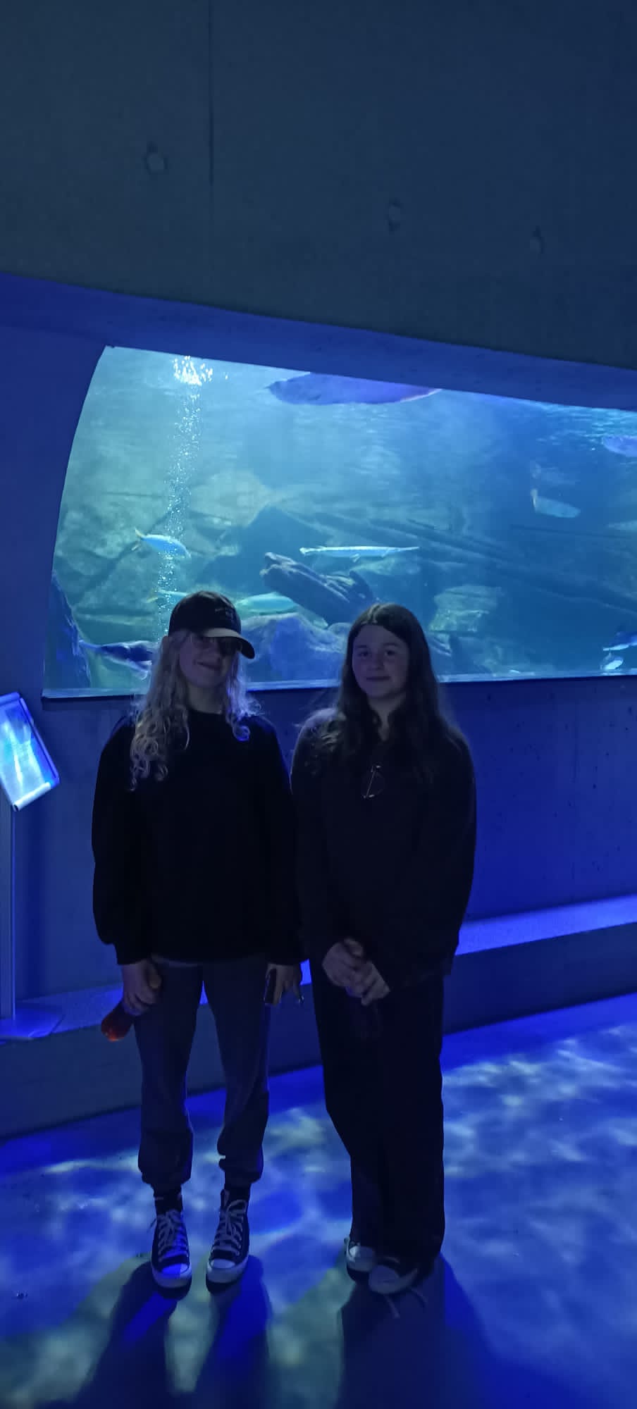 Dwie dziewczyny stoją na tle dużego akwarium