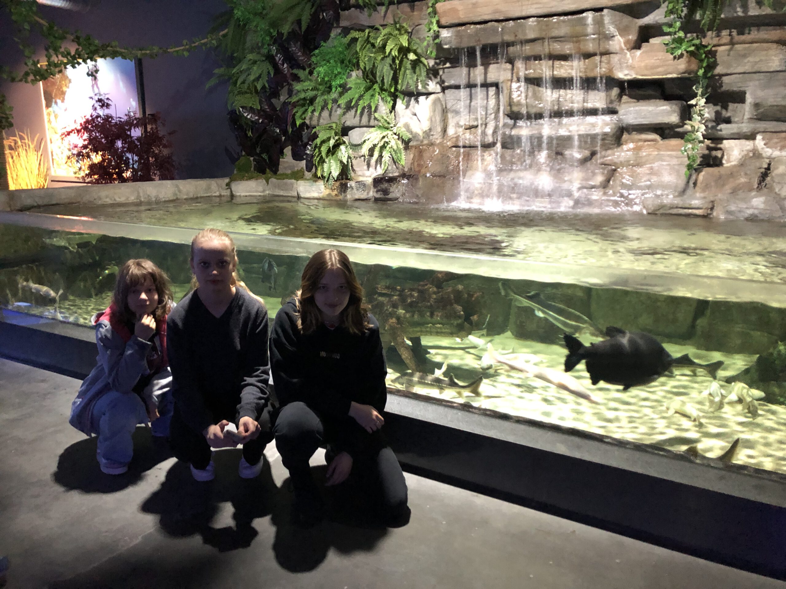 Trzy dziewczyny kucają na tle dużego akwarium
