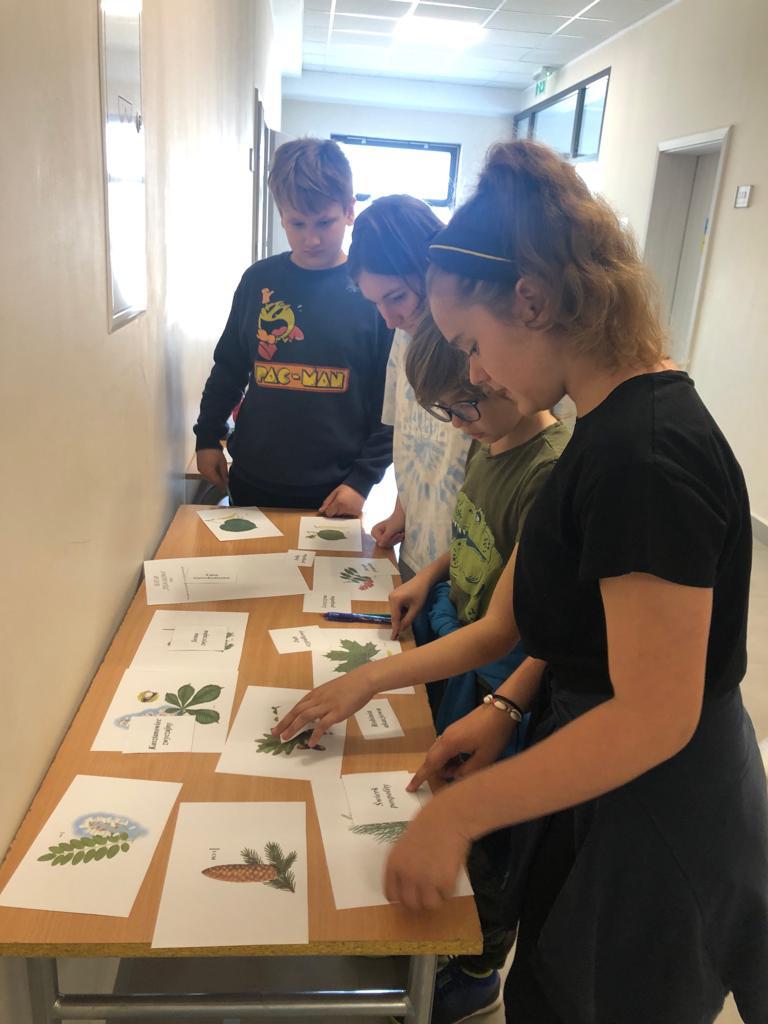 Grupa uczniów przyporządkowuje nazwy do zdjęć roślin