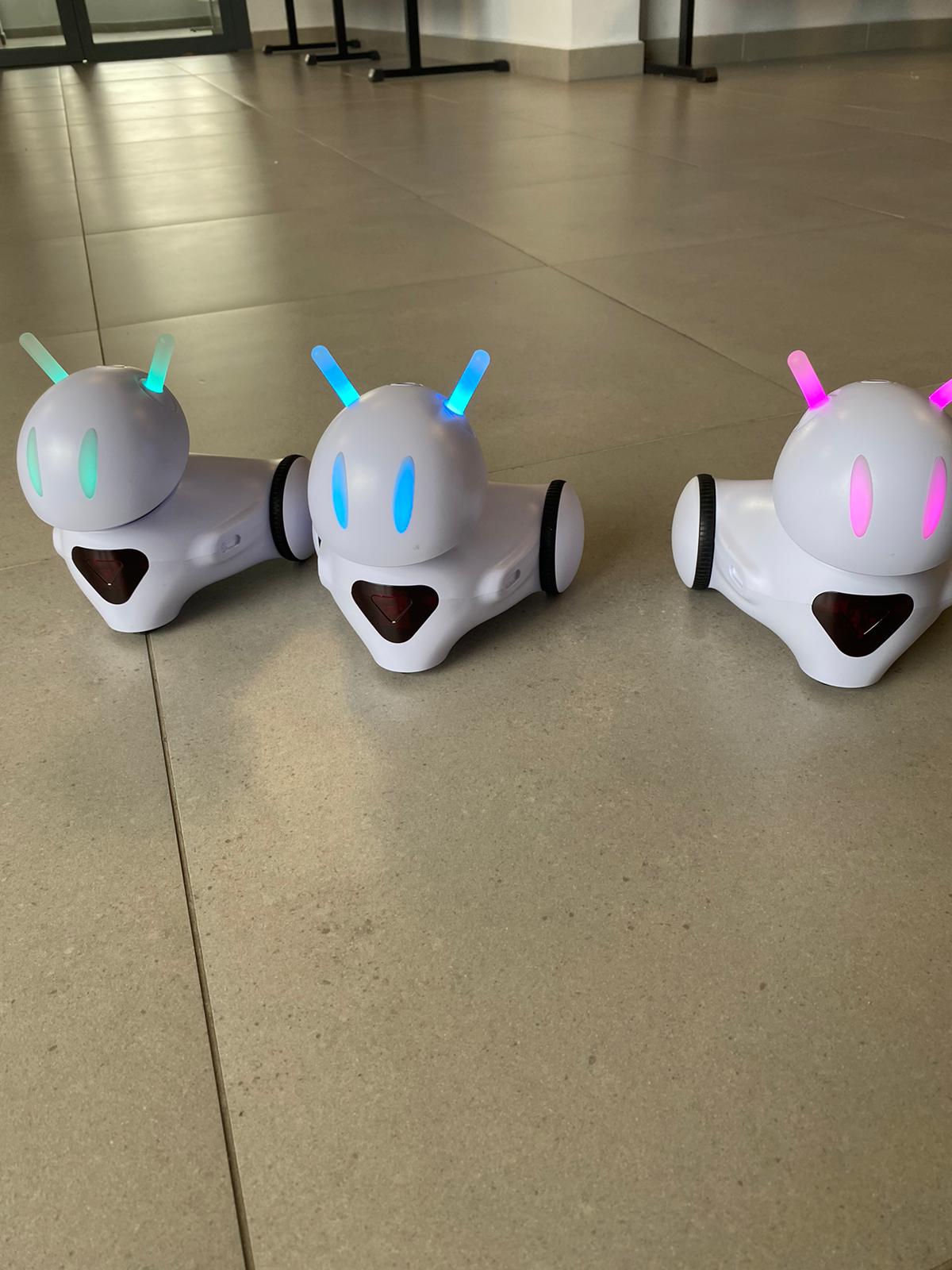 Trzy roboty czekają w gotowości na start